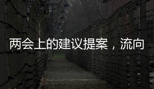 两会流建议从具体领域来看