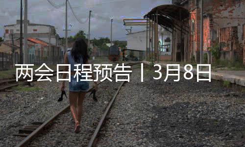 两高讨论“两高”工作报告