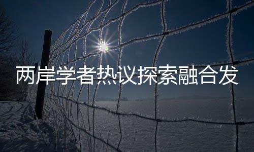 增进两岸民众的两岸共同利益