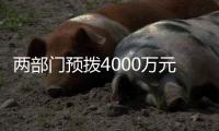两部门预拨4000万元中央自然灾害救灾资金，支持琼粤桂防汛防台风