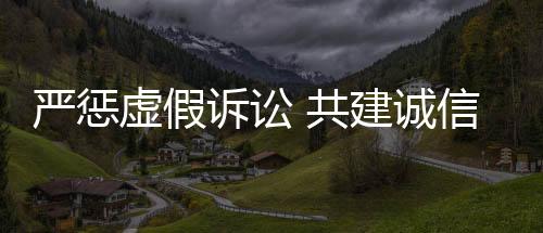 梳理出11项虚假诉讼表征