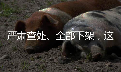 查处依法给予治安管理处罚
