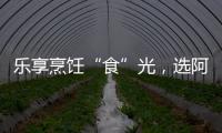 乐享烹饪“食”光
，选阿诗丹顿灶具A325B