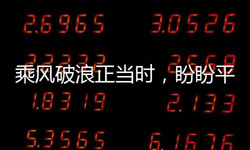 研制�、标准化树立标杆