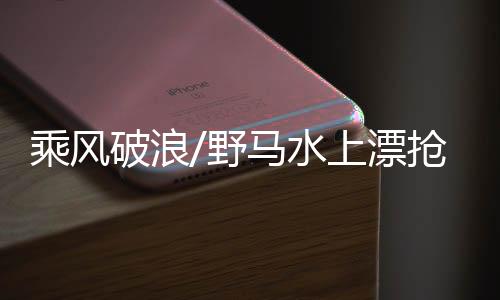 726型拥有“野马”美誉