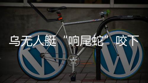 人艇以及大量陆基起飞无人机