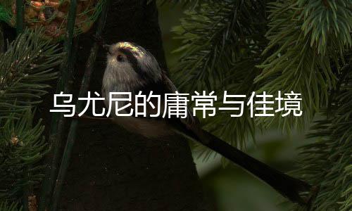 ”抱着这样的乌尤心态
