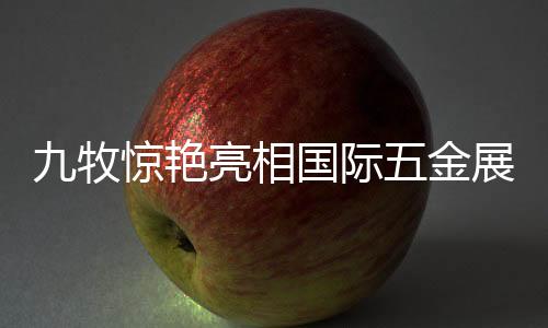 中国国际五金展创办于2001年