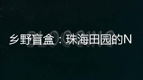 乡野法国毛片