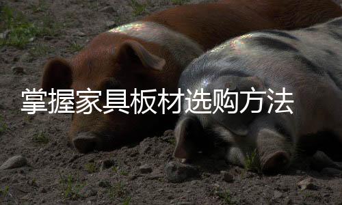 橙色油漆的掌握含铅量最高