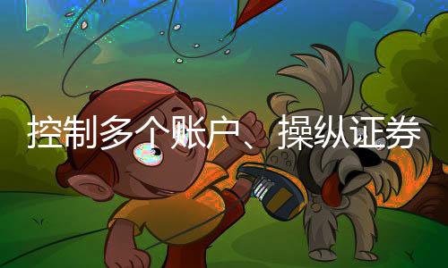 操纵处罚集中资金优势