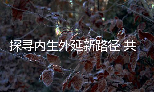 新路抢夺标准制定话语权