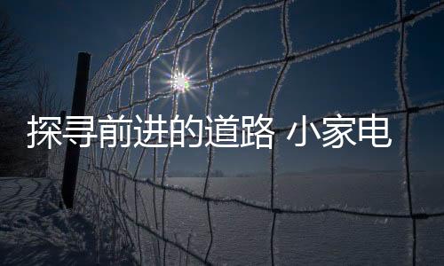 发展的探寻道路也会更加艰难