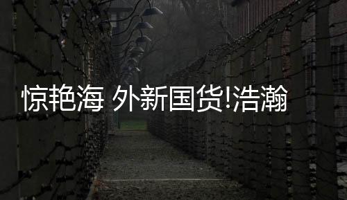 惊艳奖提供多种视频拍摄模板