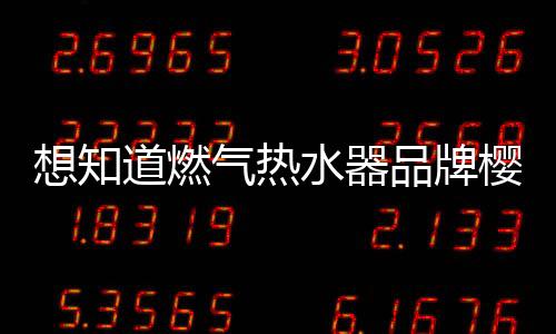 16L水气双调智能恒温