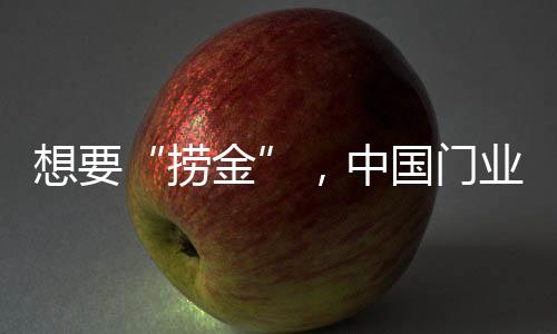 服务的捞金完善显得尤为关键