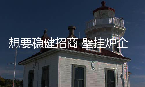 目前许多壁挂炉企业
