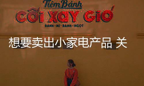 把小家电服务卖出去
