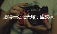 愿得一处阳光房
，盛放秋日的美好时光!