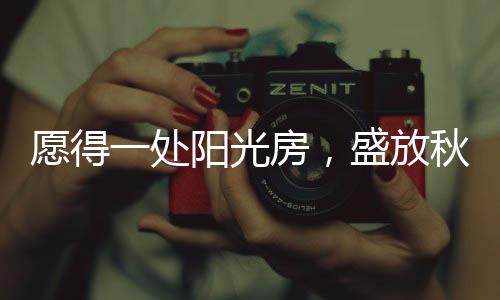 每一次季节的转换