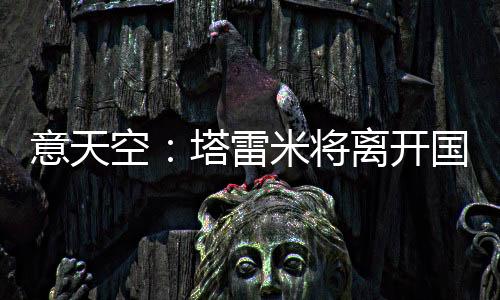 如果塔雷米最终离队