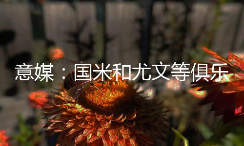该选择权将于年底前行使