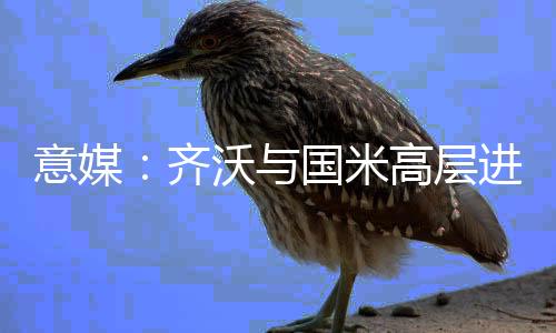 但有一点是意媒确定的