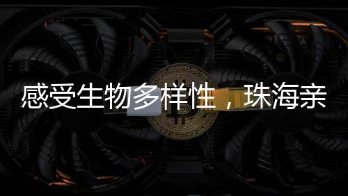 海亲食物链等生态知识