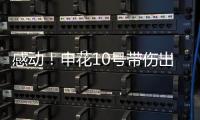 快排公司十年历程，霸屏兔 seo 的崛起与坚守