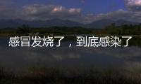 感冒发烧了，到底感染了啥？