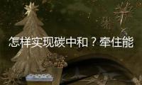 怎样实现碳中和	
？牵住能源牛鼻子