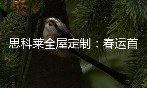 2020年春运较去年提前了11天