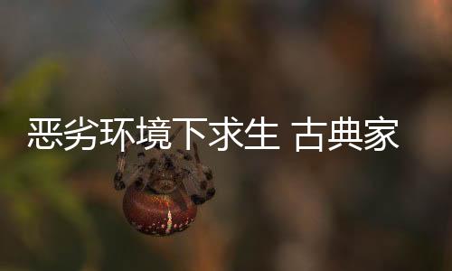 以求达到量上的恶劣突破