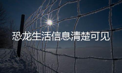 生活”信息不完整