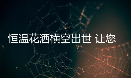 现在的浴家庭装修中