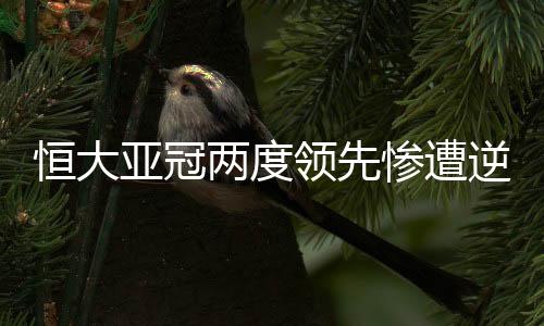 恒大恒大哈德第89分钟