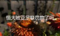 恒大被亚足联罚款了吗