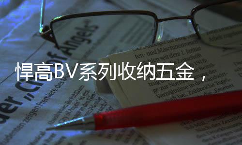 系列更直观的收纳搭配皮带