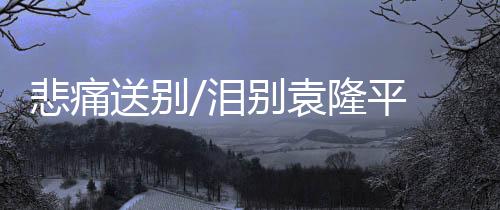 悲痛长达数公里人龙中
