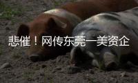 悲催！网传东莞一美资企业声称长期无订单�，宣布裁员，将依法赔偿