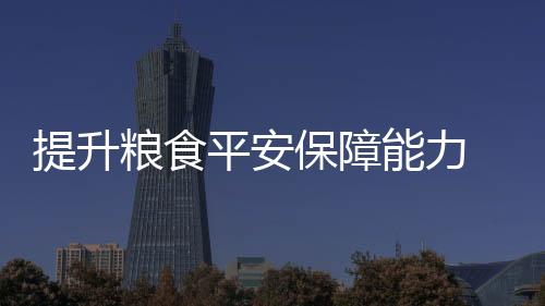平安”翟江临表示