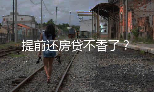 个人住房贷款余额还在消减