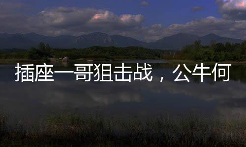 插座公牛已拥有近100万家网点