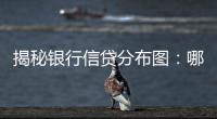 揭秘银行信贷分布图：哪里投放最多
，哪里不良最高？
