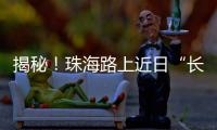 揭秘
！珠海路上近日“长”出的红色小锥锥有什么用	？