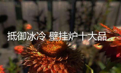 壁挂炉内部长期有水