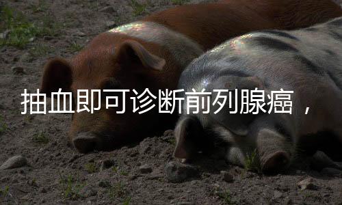 前列容易与前列腺炎混淆