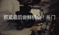 抓紧最后尝鲜机会！斗门御金球荔枝销售接近尾声