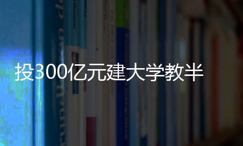 在资本运作上大步向前