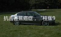 抗击香蕉癌症，“桂蕉9号”出手